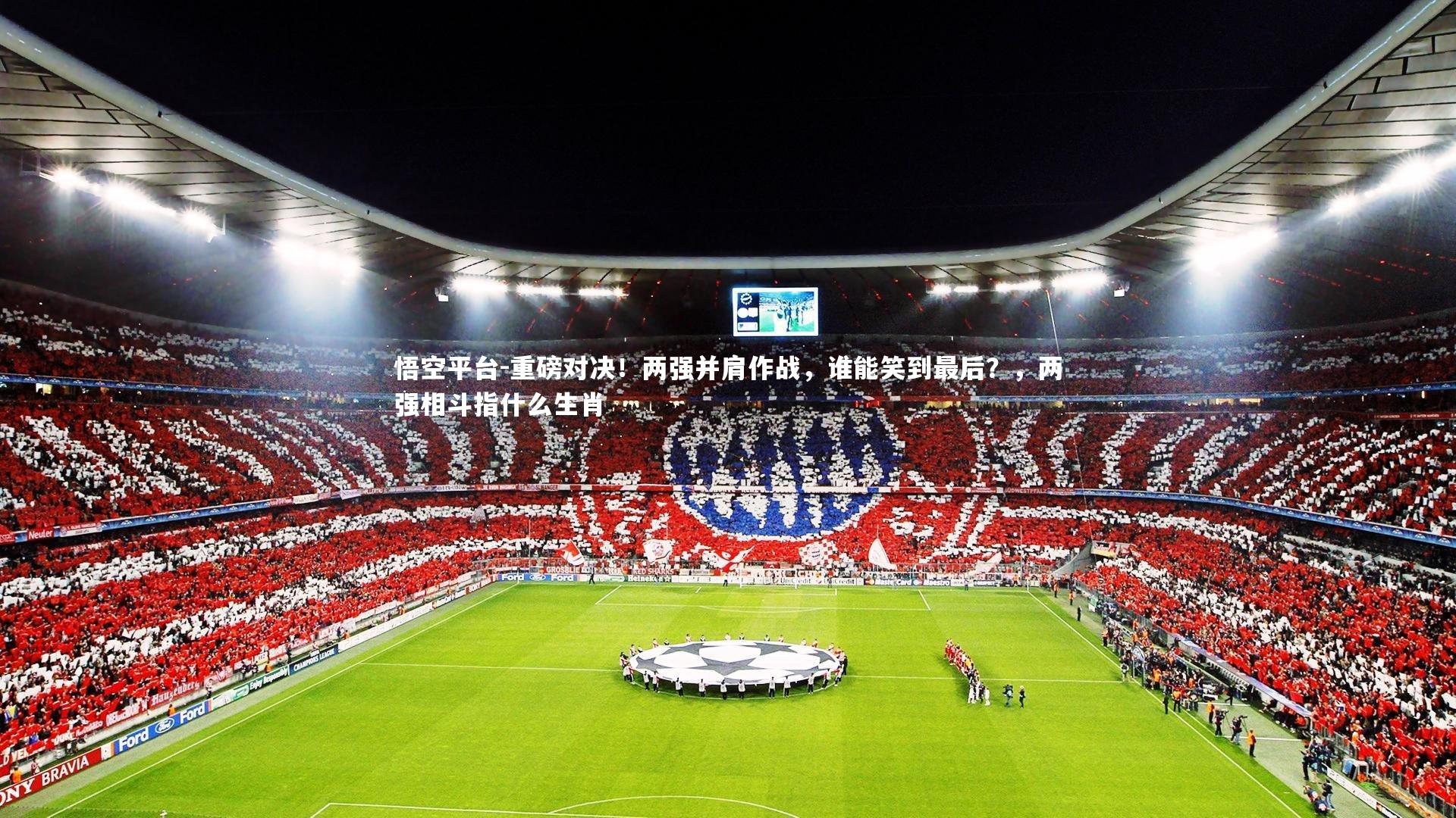 重磅对决！两强并肩作战，谁能笑到最后？，两强相斗指什么生肖