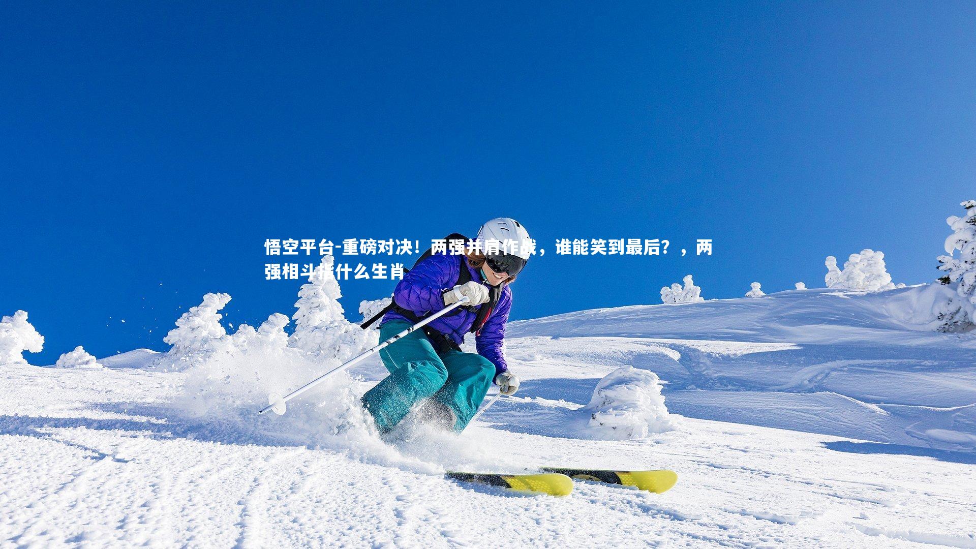 重磅对决！两强并肩作战，谁能笑到最后？，两强相斗指什么生肖