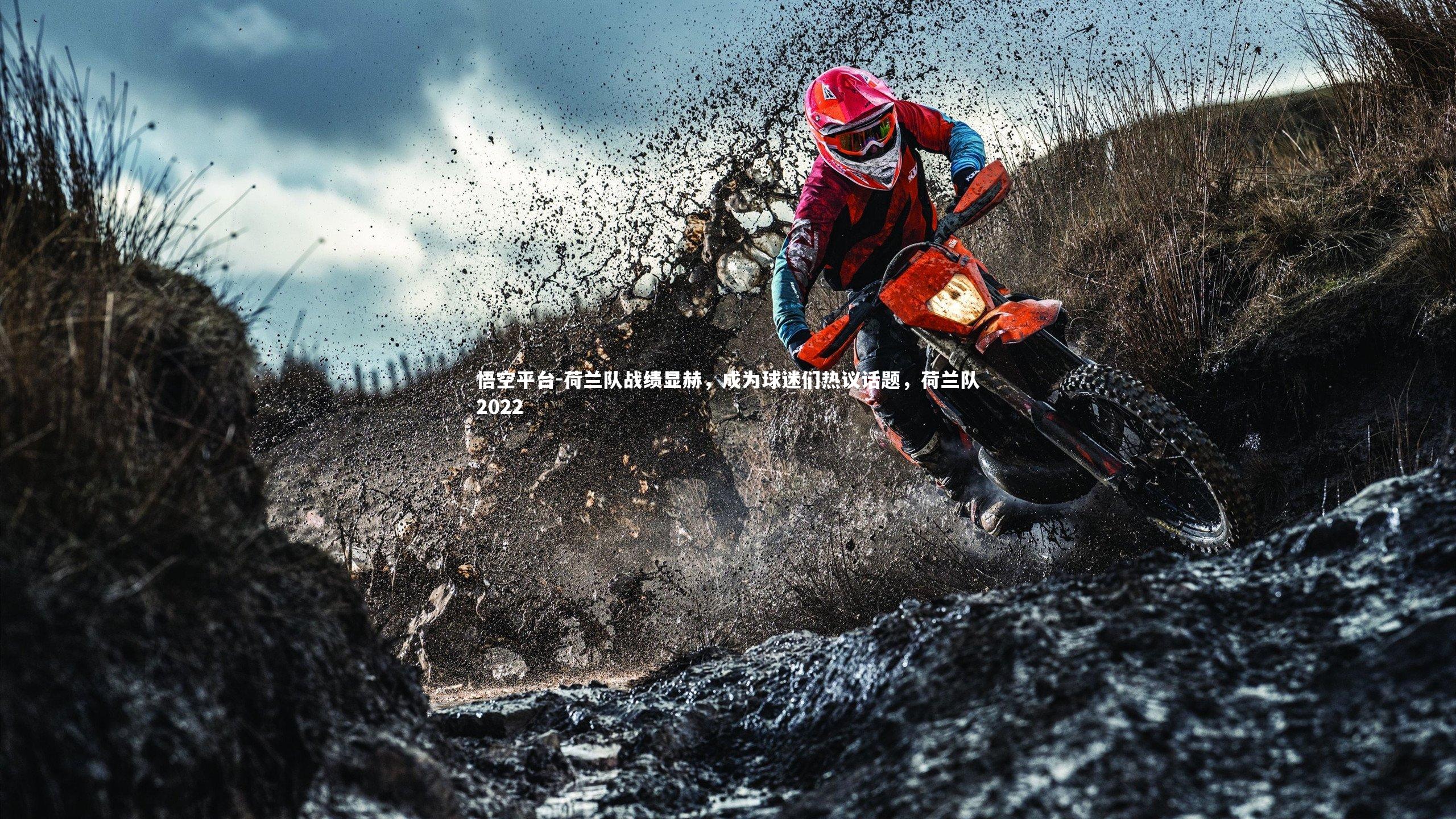 荷兰队战绩显赫，成为球迷们热议话题，荷兰队2022