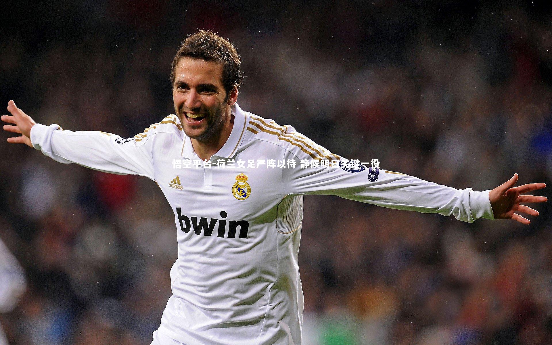 悟空平台-荷兰女足严阵以待 静候明日关键一役